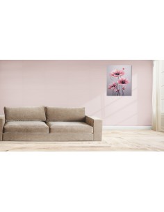 Amapola Rosa