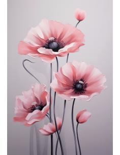 Amapola Rosa 2