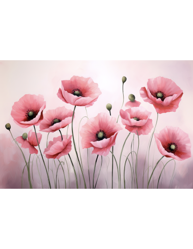 Campo de Amapolas Rosas